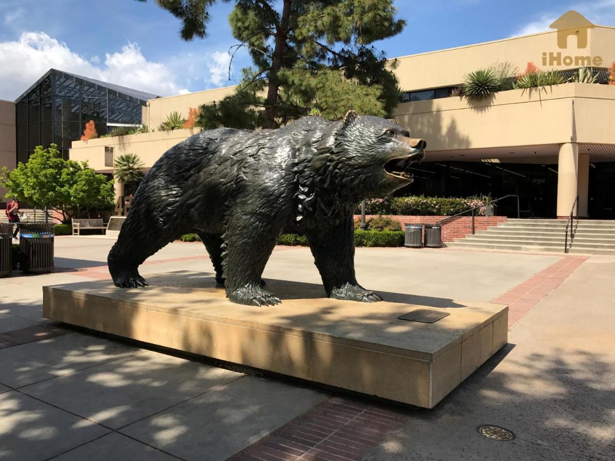 Perfect Apt Near Ucla W Parking Gym Pool Wifi In Westwood B3 Los Angeles Exteriér fotografie